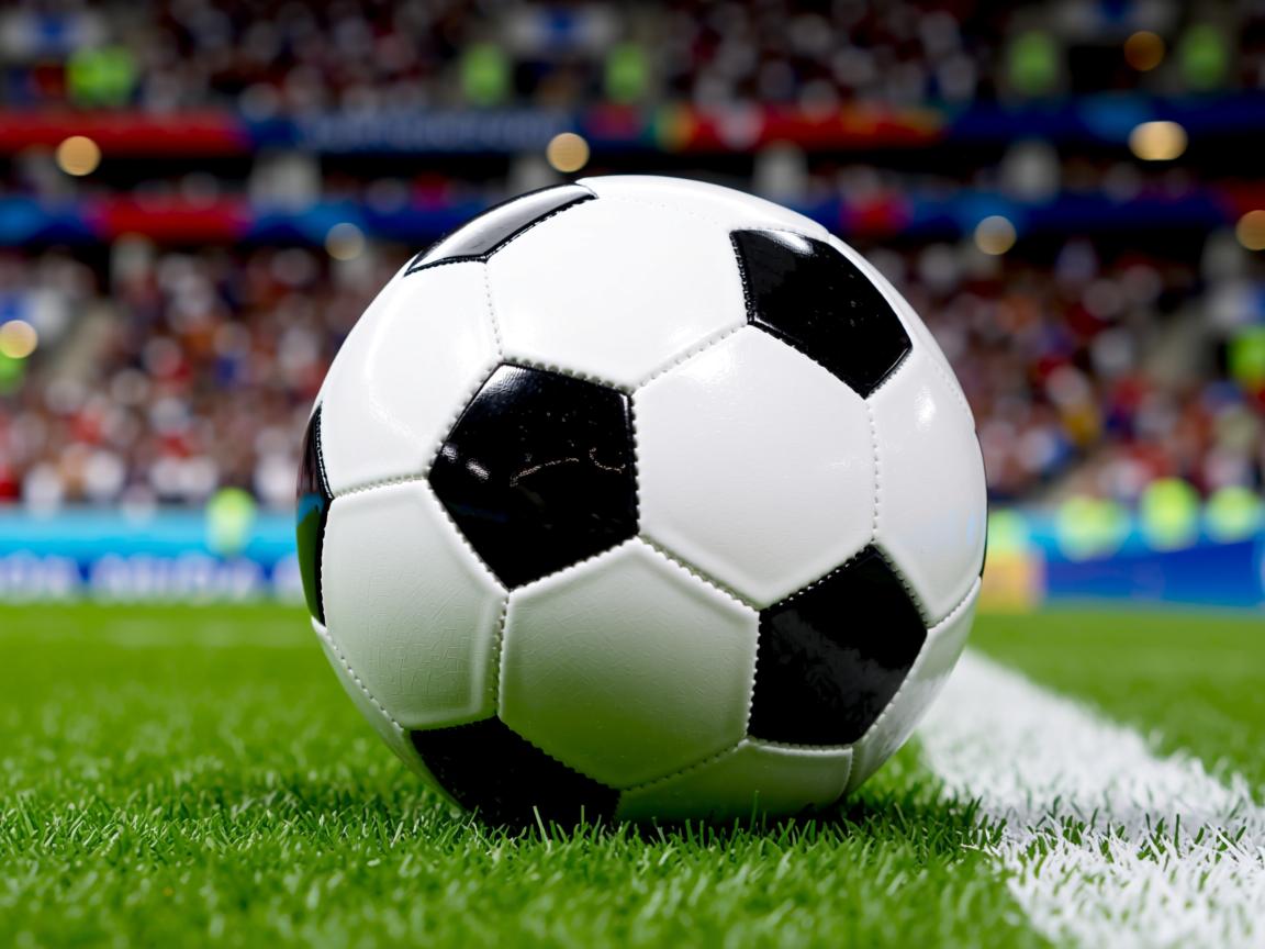 开云体育平台-Chinese Taipei战术运用:精准发球与战术接发球 第2张