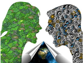 开云体育网站-基层足球发展如何打破资源壁垒，足球如何突破  第3张